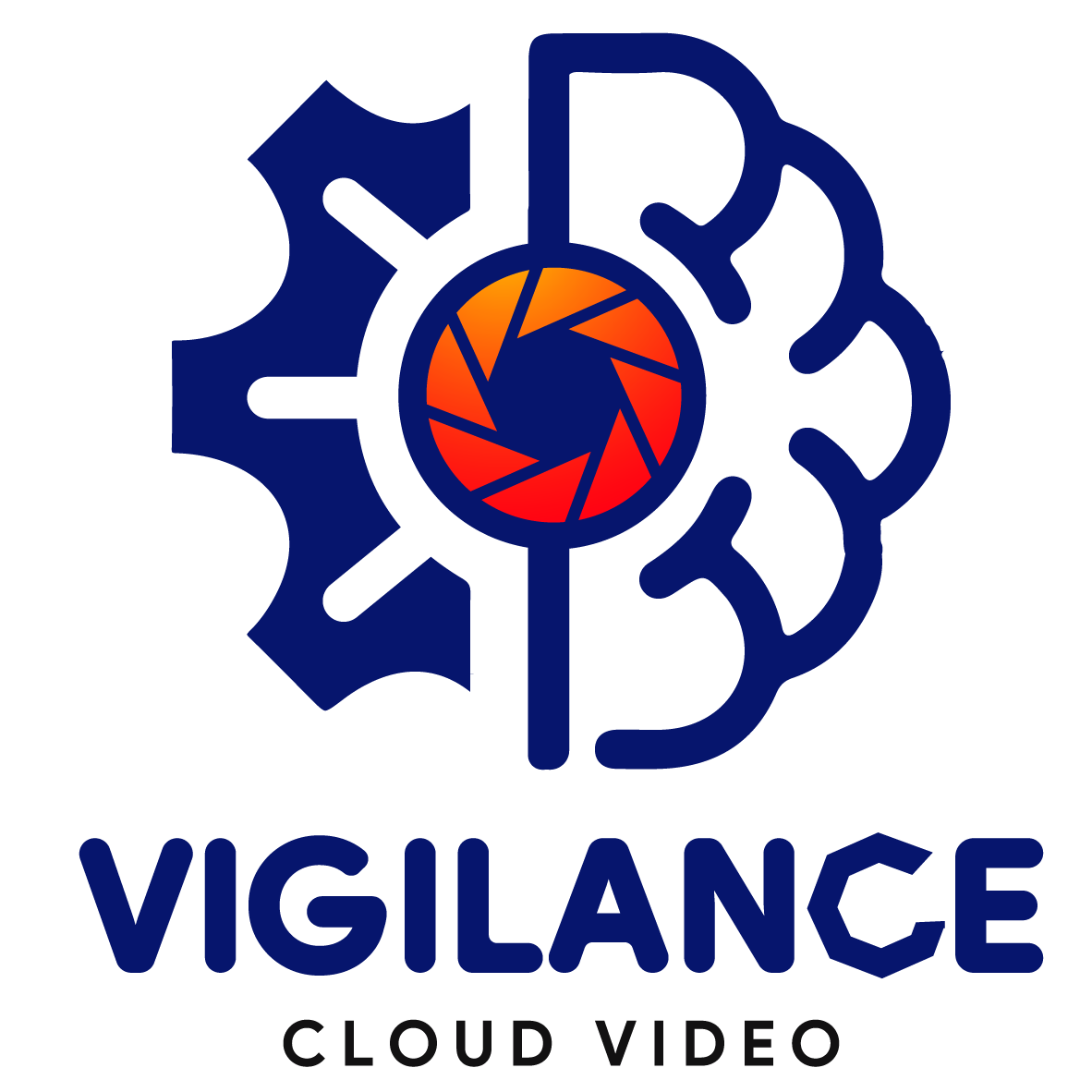 Vigilance